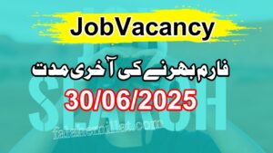 BPSSC Enforcement Sub Inspector Recruitment 2025 انفورسمنٹ سب انسپکٹر کے 33 آسامیاں، مکمل تفصیل اور درخواست کا طریقہ