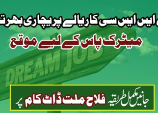 BSSC کاریالے پریچاری بھرتی 2025 بہار آفس اٹینڈنٹ بھرتی آن لائن درخواست، اہلیت اور آخری تاریخ - لنک ایکٹو