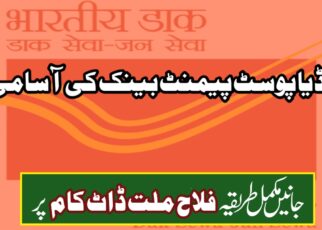 آئی پی پی بی بھرتی 2025 – انڈیا پوسٹ پیمنٹ بینک کی آسامی 2025 | پوسٹ آفس میں فارغ التحصیل کے لیے شاندار بھرتی، ابھی آن لائن اپلائی کریں