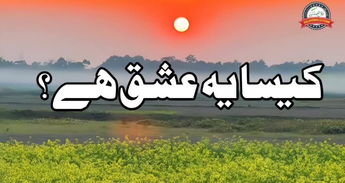  کیسا یہ عشق ہے؟