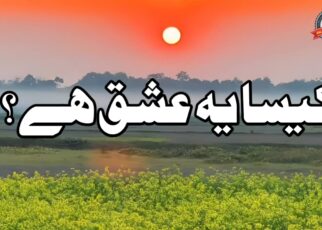  کیسا یہ عشق ہے؟