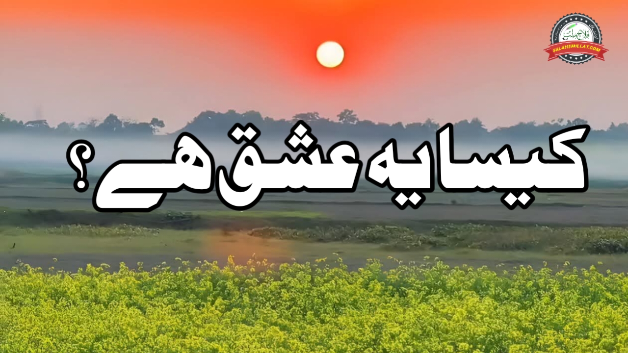  کیسا یہ عشق ہے؟