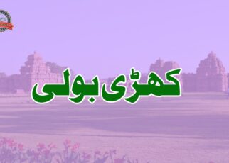 کھڑی بولی