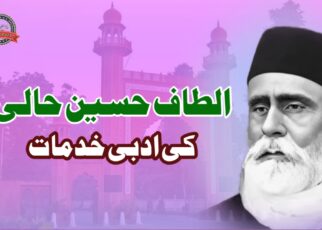 الطاف حسین حالی کی ادبی خدمات