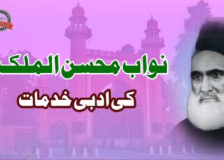 نواب محسن الملک کی ادبی خدمات